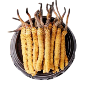 RƯỢU ĐÔNG TRÙNG HẠ THẢO